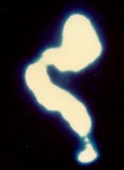 JOUBIAK