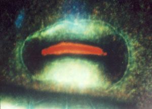 EN ESTA COLONIA ESPIRITUAL FUE DONDE TRANSPORTARON A LAS ENERGÍAS NEGRAS UBICADAS EN EL CONTINENTE AFRICANO, ORIGEN DE LA RAZA NEGRA, Y QUE PROVIENEN DEL PLANETA LUH