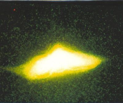 colonia espiritual cosmica 5