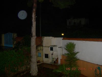 Esfera_Luminosa_junto_pino