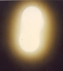 MÁXIMA ENERGÍA: LA FUENTE DE LUZ