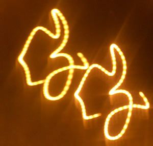 PAREJA DE SERES DE LUZ DE LA GALAXIA JJ