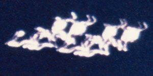 Seres_shambala4